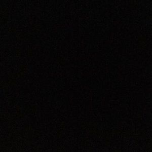 Meet your Posher, Jaxon